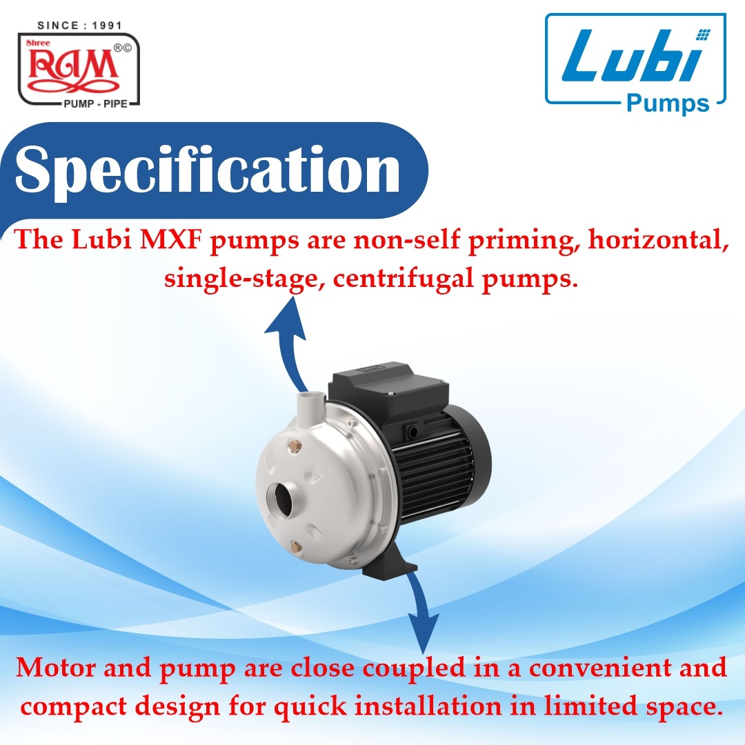 LUBI SS Shallow Well Jet Pump (F Class)